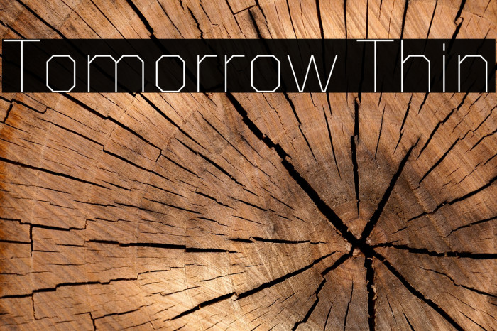 Tomorrow Thin Font examples