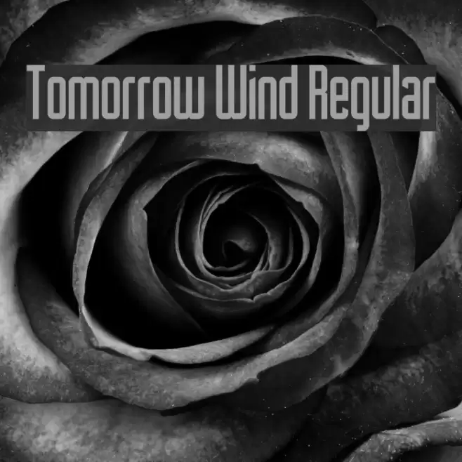 Tomorrow Wind Regular Font examples