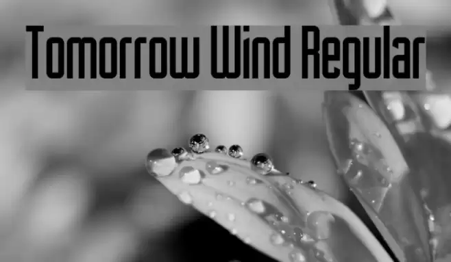 Tomorrow Wind Regular Font examples