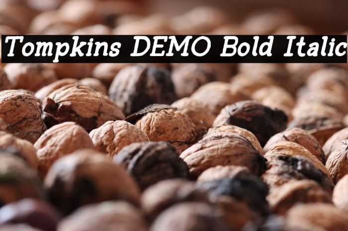 Tompkins DEMO Bold Italic Example 1