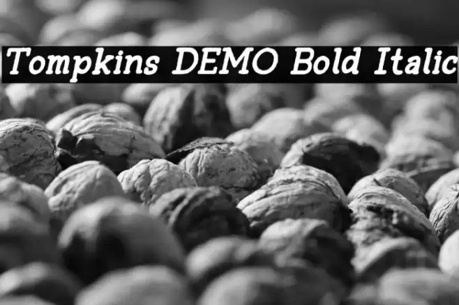 Tompkins DEMO Bold Italic Font examples