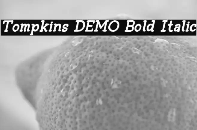 Tompkins DEMO Bold Italic Font examples