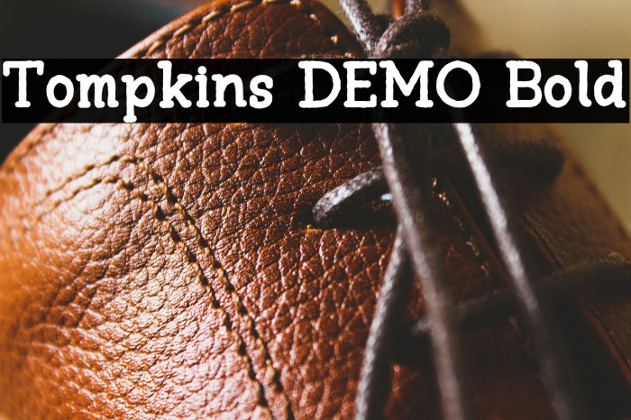 Tompkins DEMO Bold Example 2