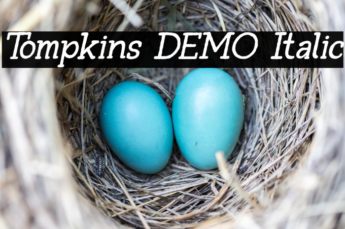 Tompkins DEMO Italic Example 3