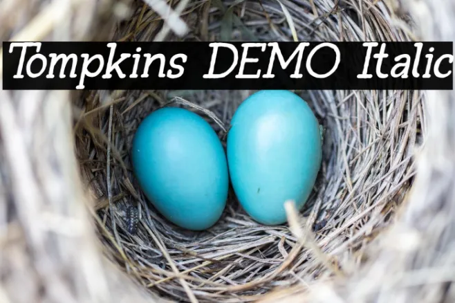 Tompkins DEMO Italic Example 3
