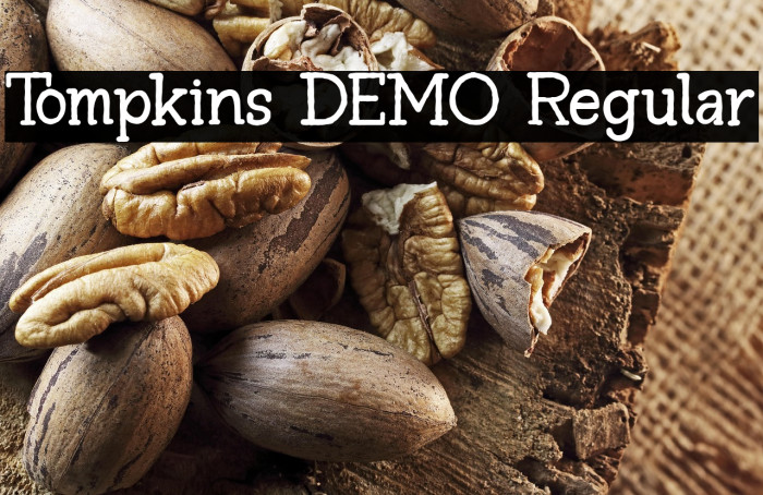 Tompkins DEMO Regular Example 3