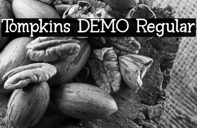 Tompkins DEMO Regular Font examples