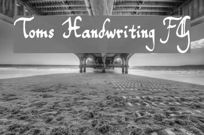 Toms Handwriting FG Font examples