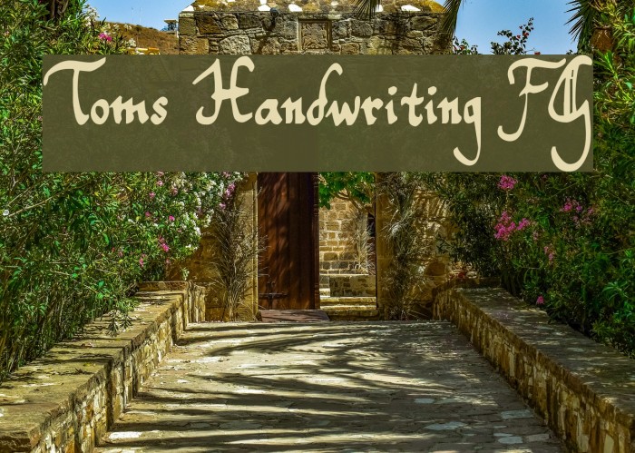 Toms Handwriting FG Example 2