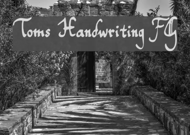 Toms Handwriting FG Font examples