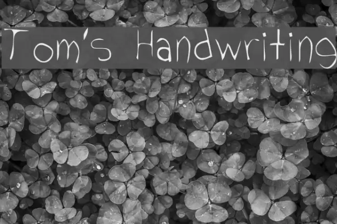 Tom's Handwriting Font examples
