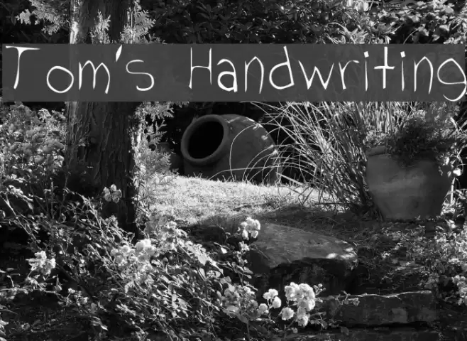 Tom's Handwriting Font examples