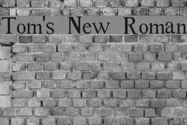 Tom's New Roman Font examples