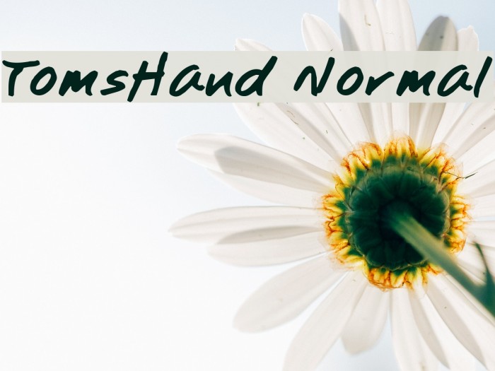 TomsHand Normal Example 1