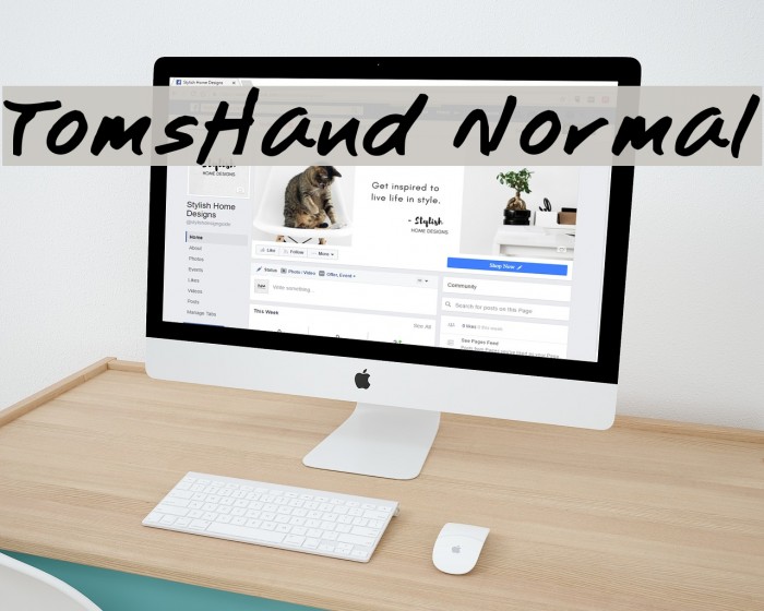 TomsHand Normal Example 3