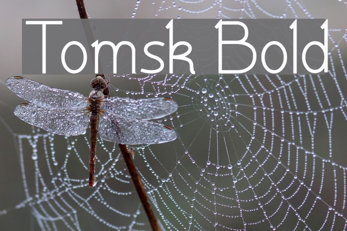 Tomsk Bold Font examples