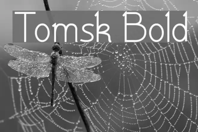 Tomsk Bold  examples