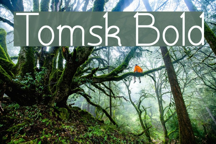 Tomsk Bold Font examples