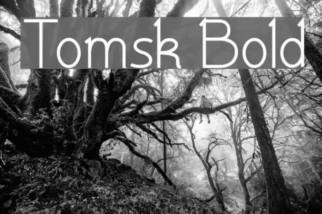 Tomsk Bold  examples