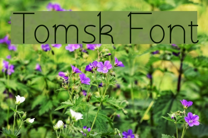 Tomsk Font examples
