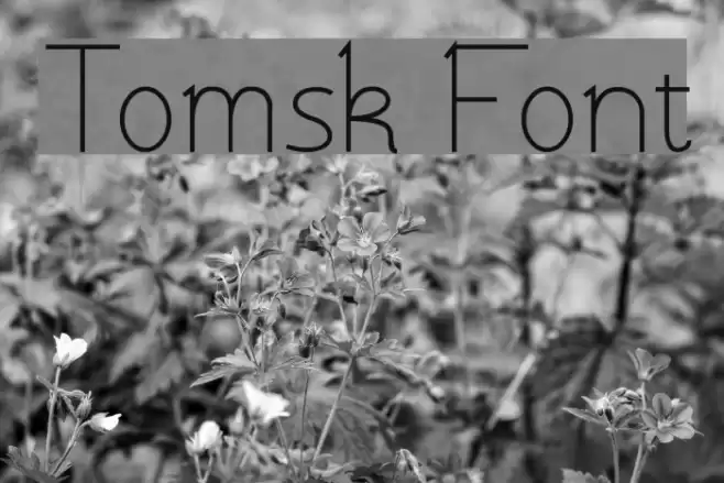 Tomsk  examples