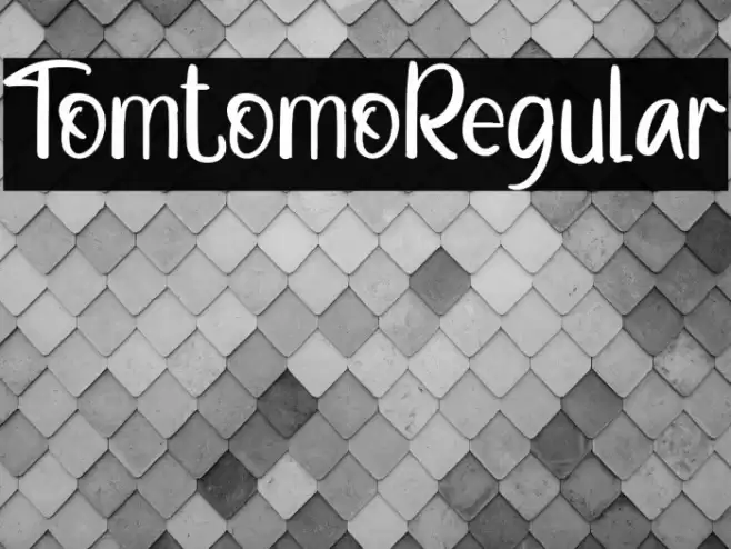 TomtomoRegular Font examples