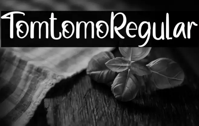 TomtomoRegular Font examples