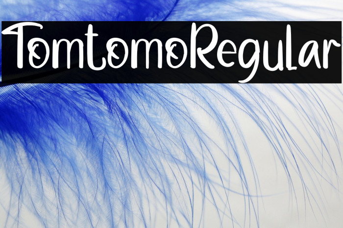 TomtomoRegular Example 3