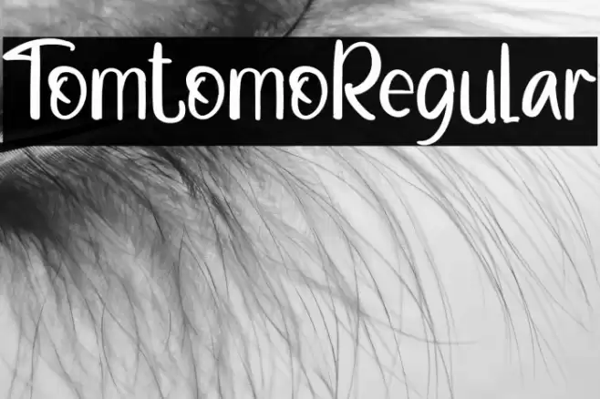 TomtomoRegular Font examples