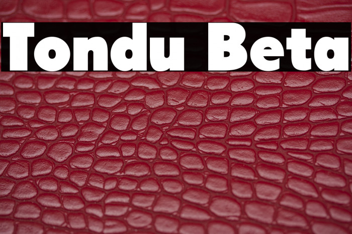 Tondu Beta Example 1