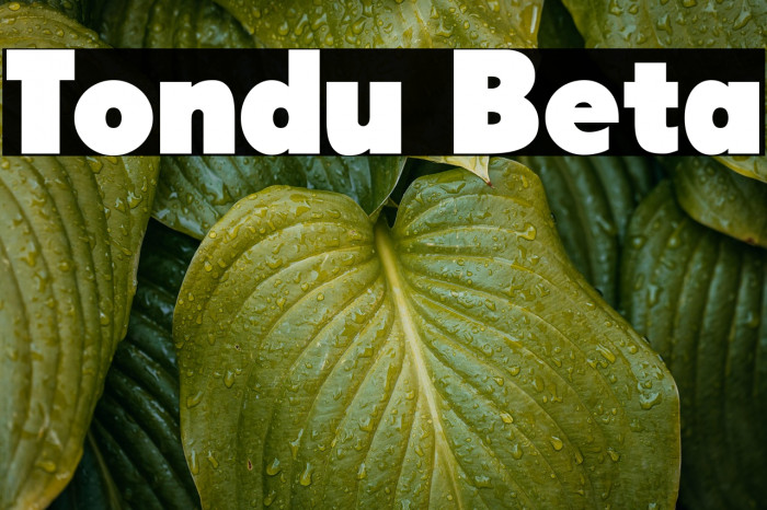 Tondu Beta Example 2