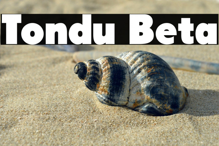 Tondu Beta Example 3