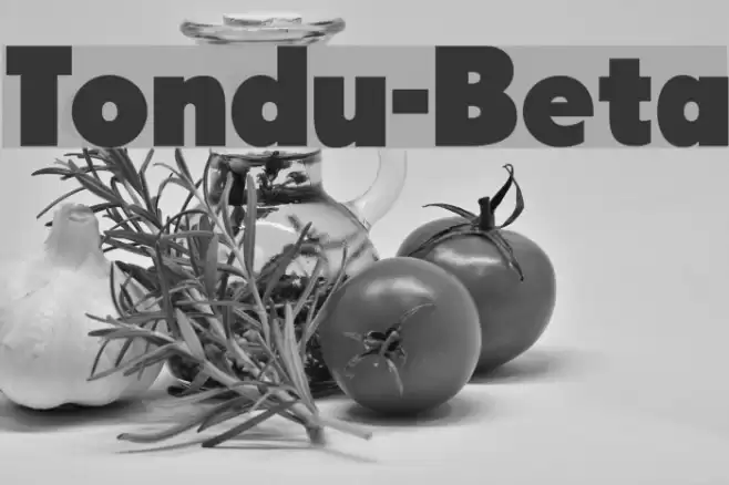 Tondu-Beta Font examples