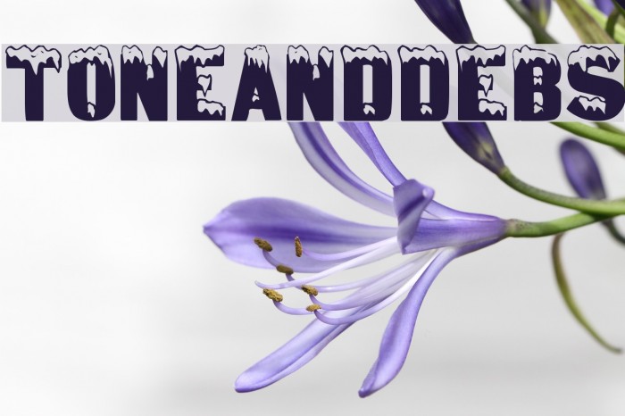 ToneAndDebs Example 1