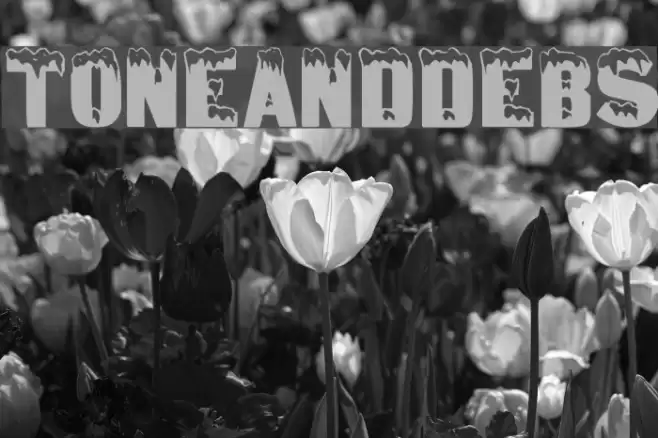 ToneAndDebs Font examples