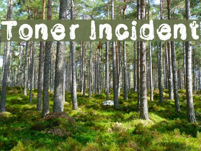Toner Incident Font examples