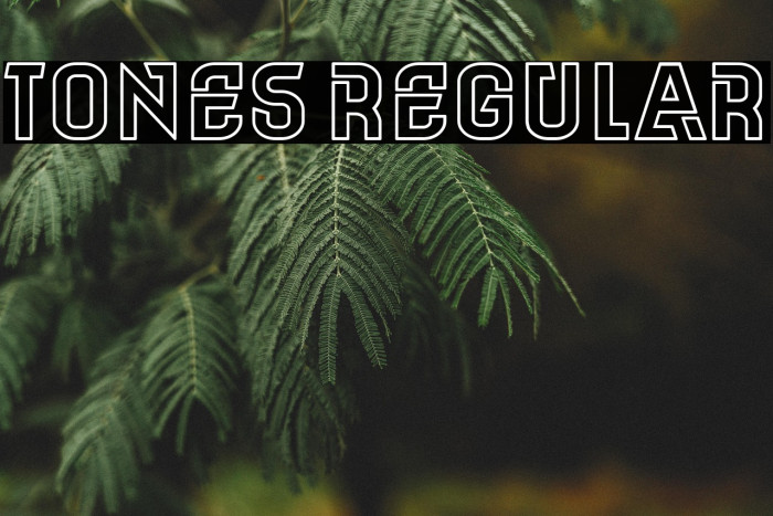 Tones Regular Example 2