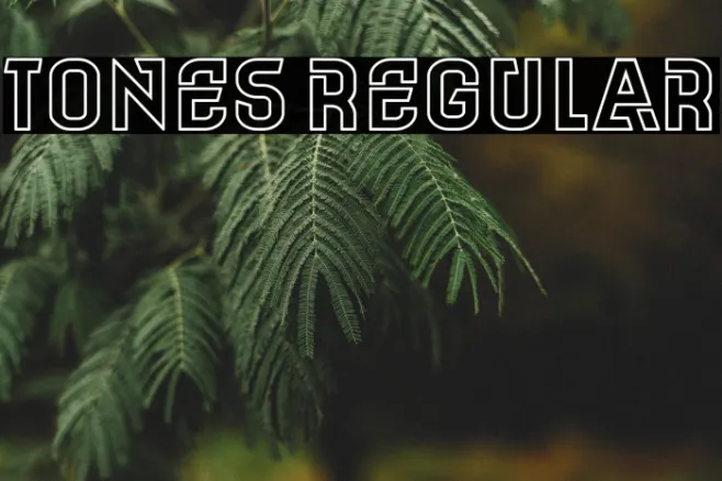 Tones Regular Example 2