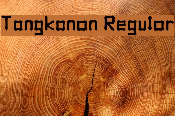 Tongkonan Regular Font examples