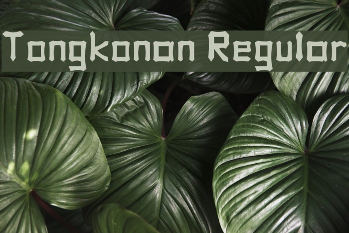 Tongkonan Regular Font examples
