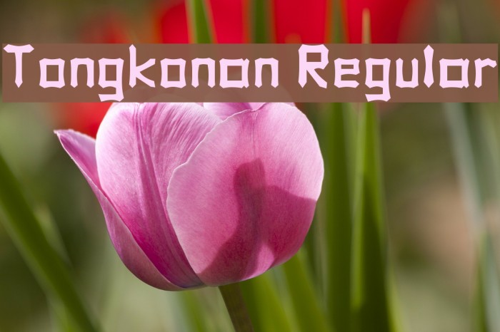 Tongkonan Regular Font examples