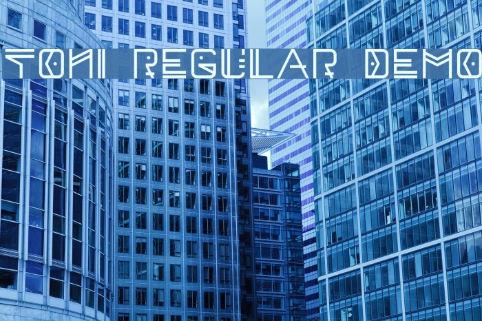 Toni Regular Demo Font examples