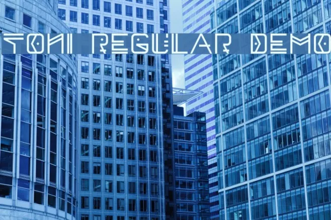 Toni Regular Demo Example 2