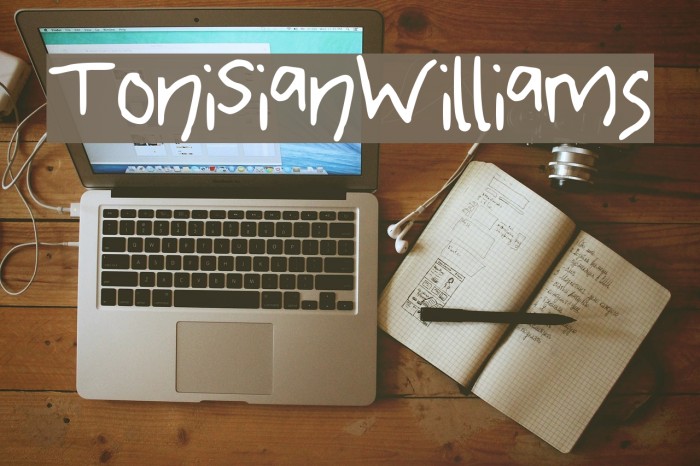 ToniSianWilliams Font examples