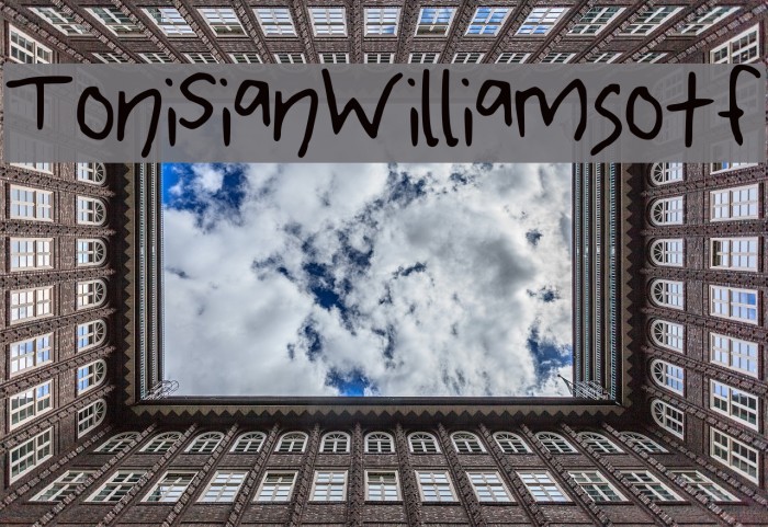 ToniSianWilliamsotf Example 2