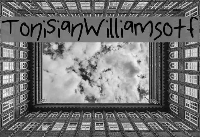 ToniSianWilliamsotf Font examples