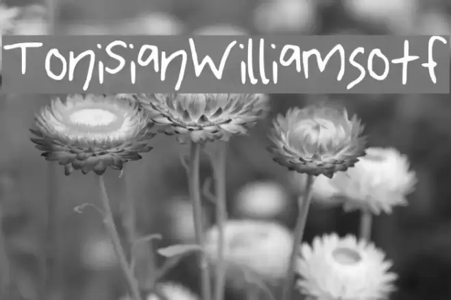 ToniSianWilliamsotf Font examples