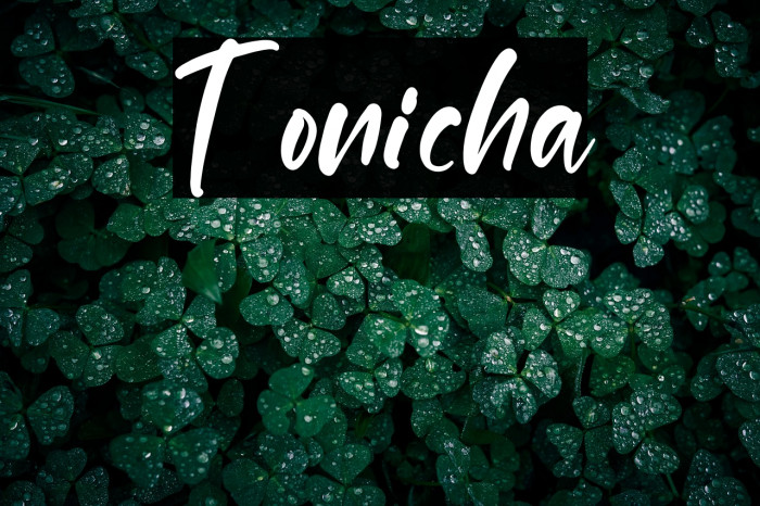 Tonicha Example 1