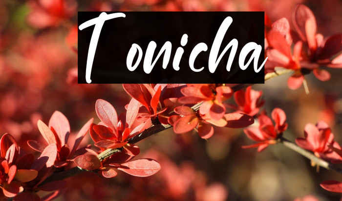 Tonicha Example 2
