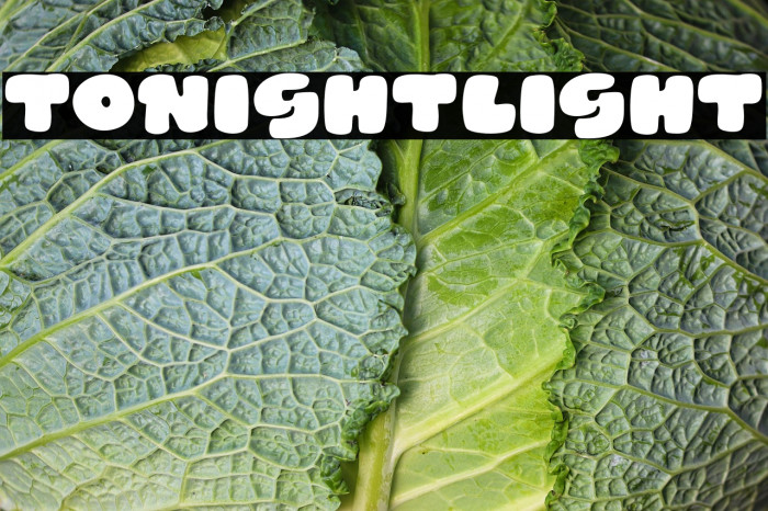 Tonight Light Example 2